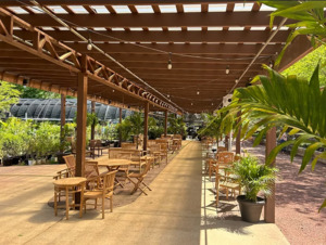 The Pergola