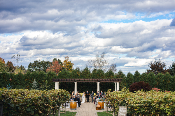 Birch Wood Vineyards