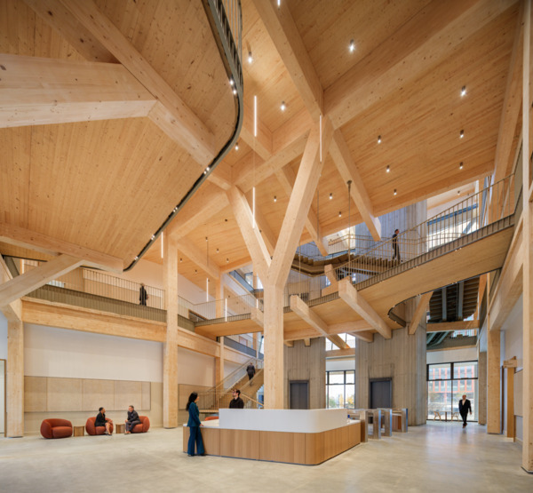 David Rubenstein Treehouse at Harvard University