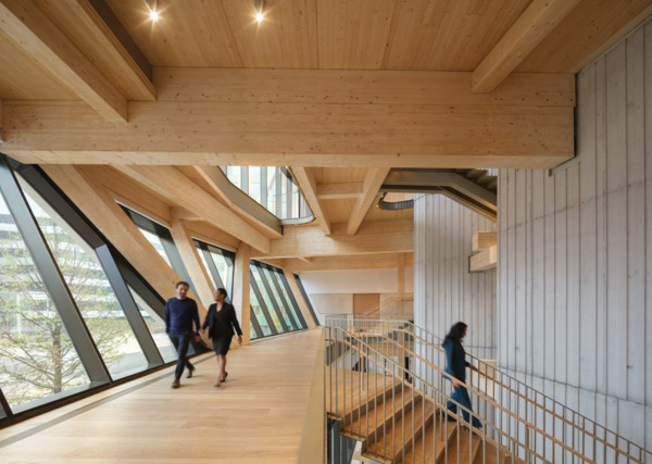 David Rubenstein Treehouse at Harvard University
