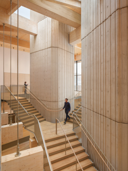 David Rubenstein Treehouse at Harvard University