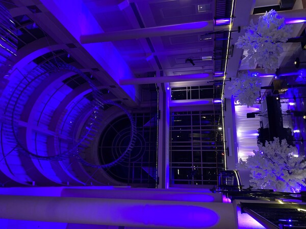 Tsakopoulos Library Galleria