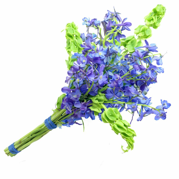 Whole Blossoms