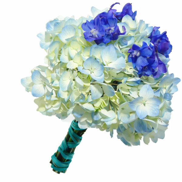 Whole Blossoms