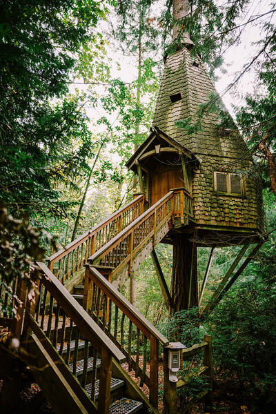 IslandWood