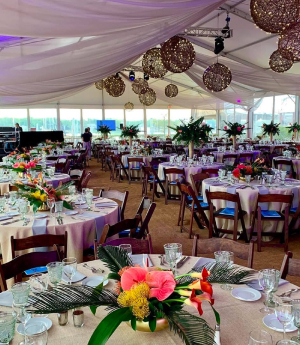 Pro Party Rental CT