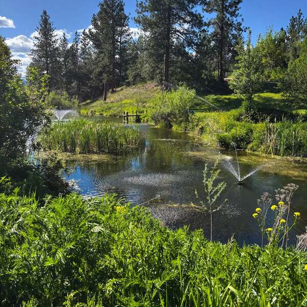 The Pond @ Sapphire Meadows