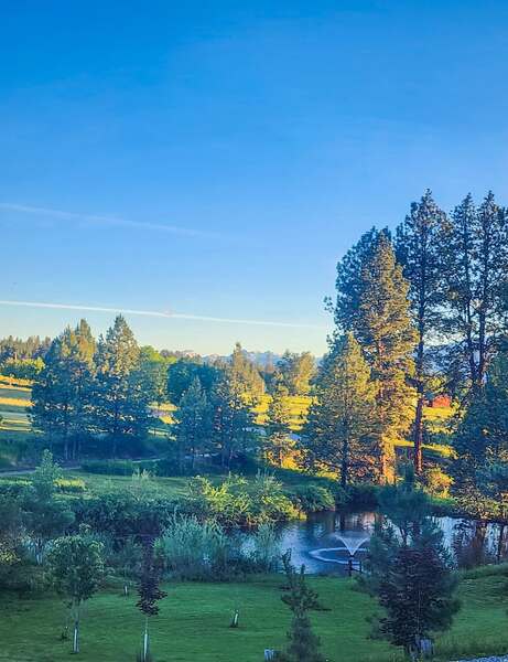 The Pond @ Sapphire Meadows