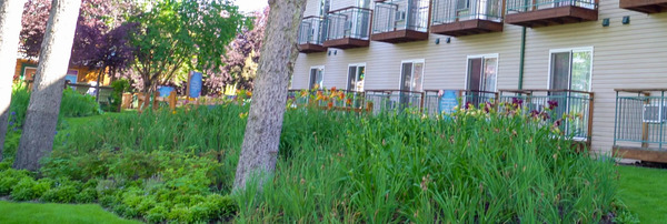 Pike's Landing @ Pikes Waterfront Lodge