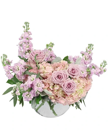 The Sweetest Bloom