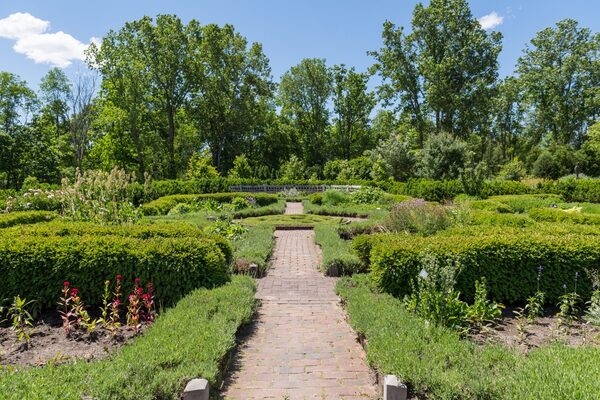 Matthaei Botanical Gardens & Nichols Arboretum