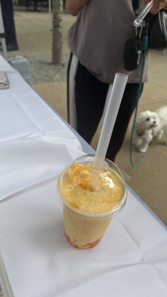 Desi Fusion Boba LLC