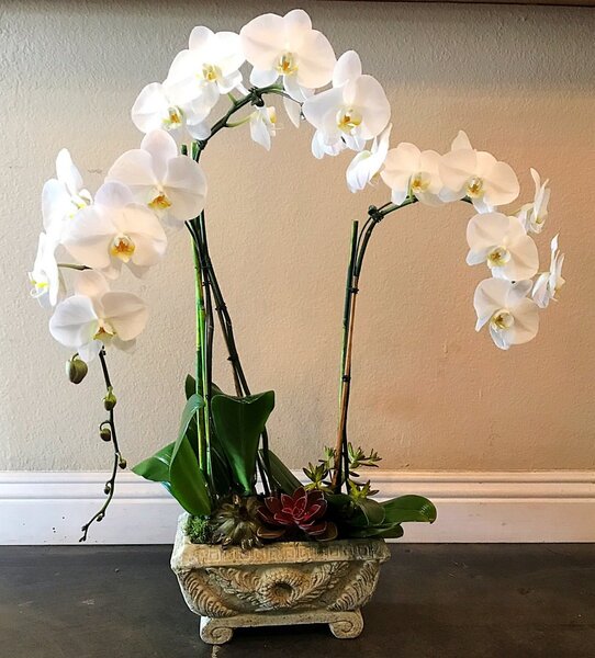 William Paul Floral Design- Denver