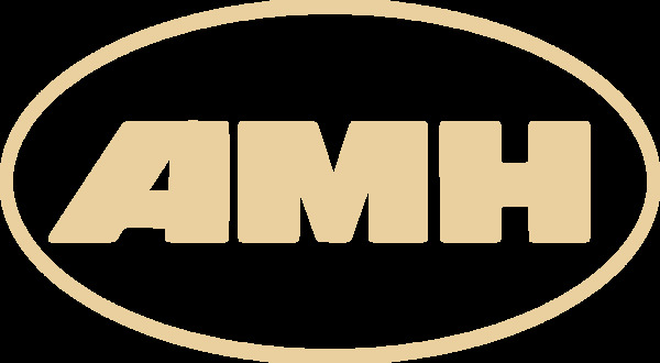 The Amityville Music Hall