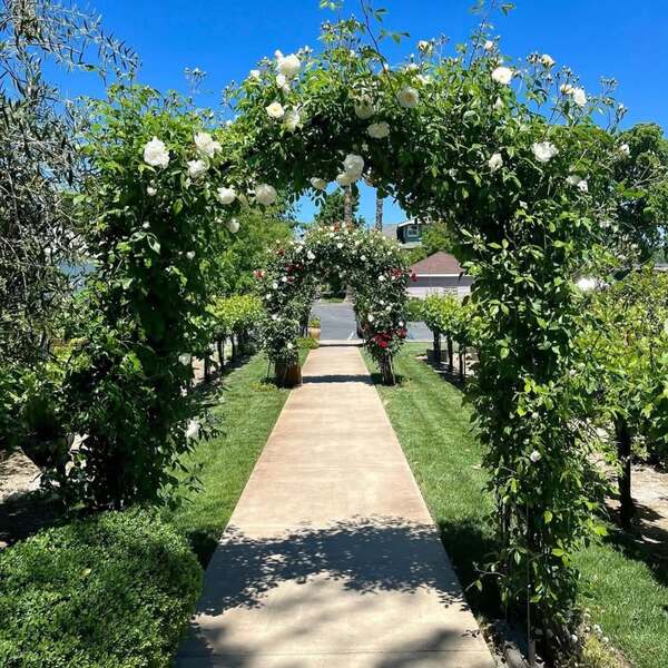 Scribner Bend Vineyards