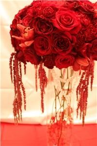 Entwined Design