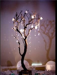 Entwined Design