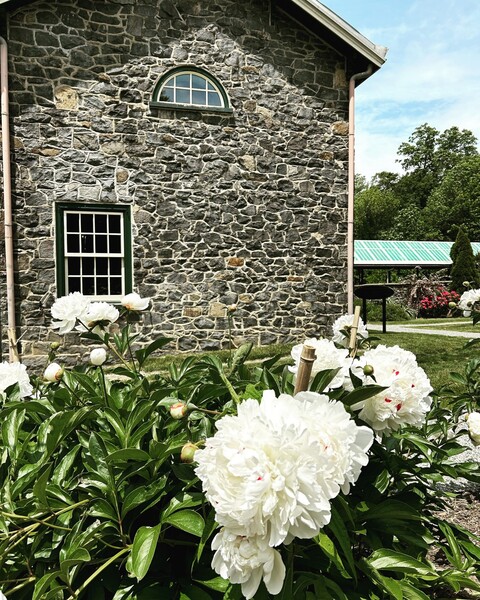 Carriage House at Rockwood Park