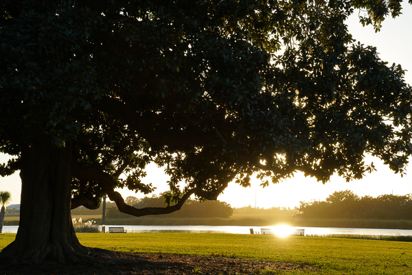 Epworth By The Sea