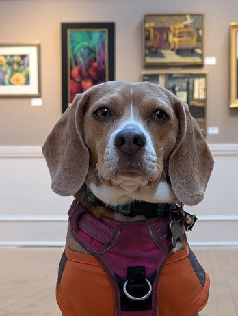 Rockport Art Association & Museum