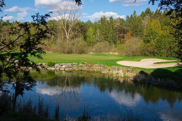 Black Bear Ridge Golf Course