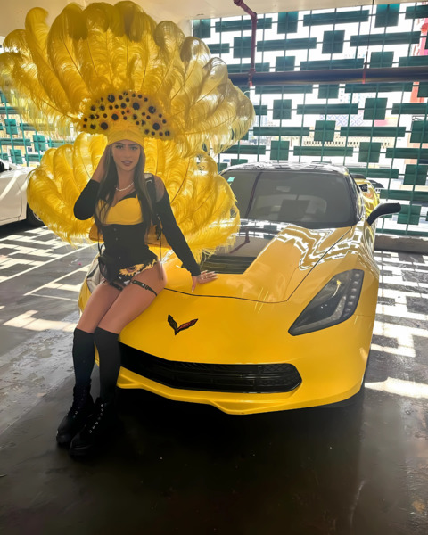 PIcture Perfect Showgirls