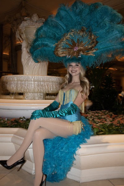 PIcture Perfect Showgirls