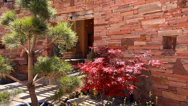 The Southwest Sanctuary