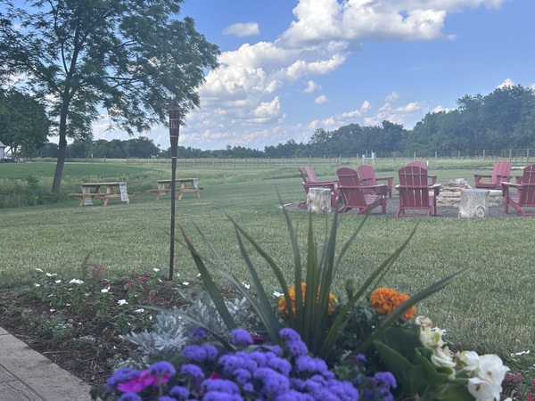 Nayborhood Farm
