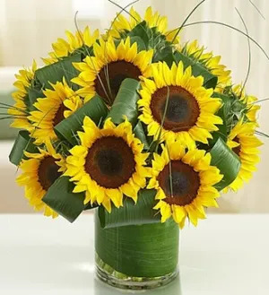 Fruits and Flowers