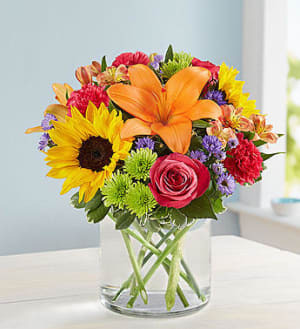 Fruits and Flowers