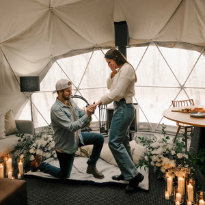 Geodesic Domes