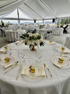 Reception Tent