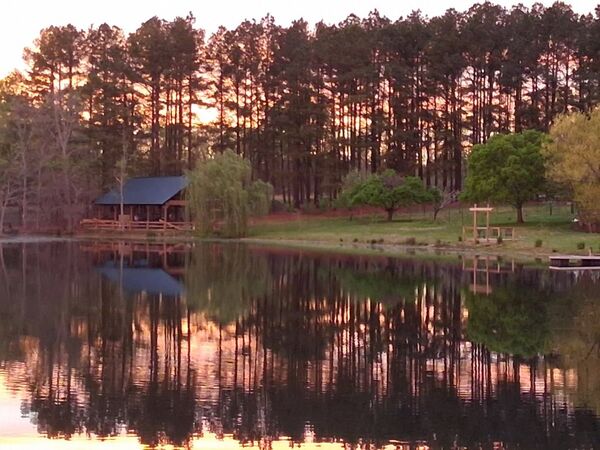 Log Cabin Farm