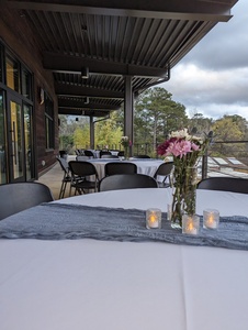 Overlook Terraces & Balcony