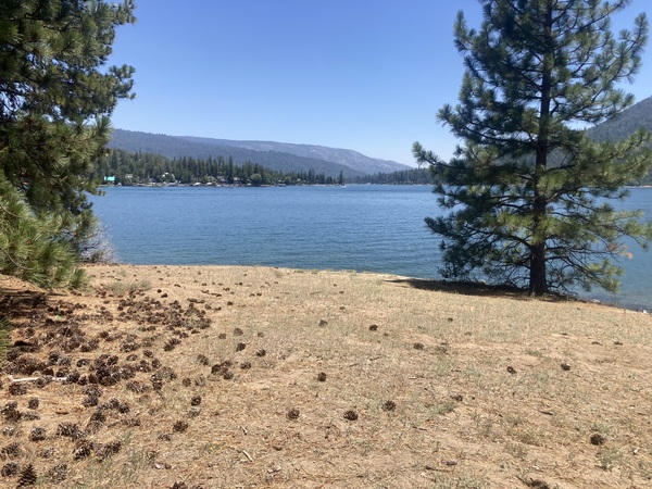 Bass Lake Dream Wedding