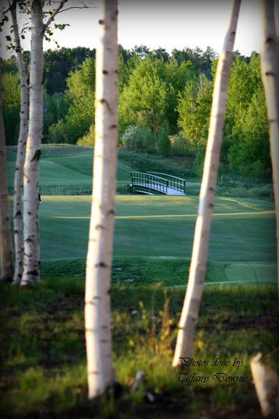 Timberwolf Golf Club