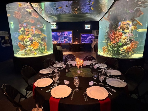 Daytona Aquarium and Rainforest Adventure