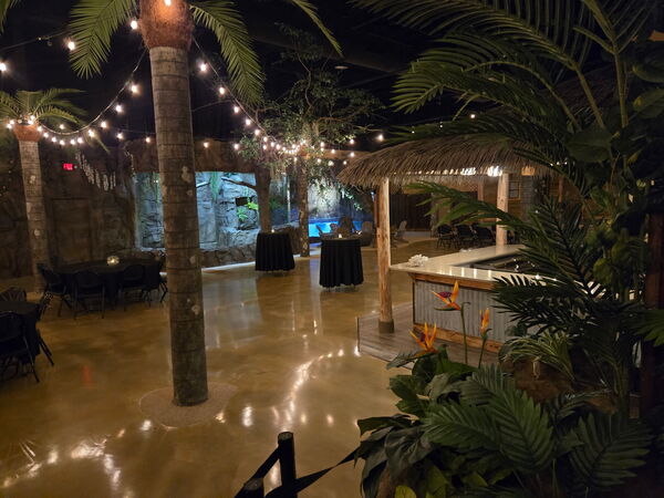 Daytona Aquarium and Rainforest Adventure