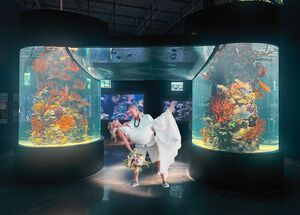 The Island Oasis Venue