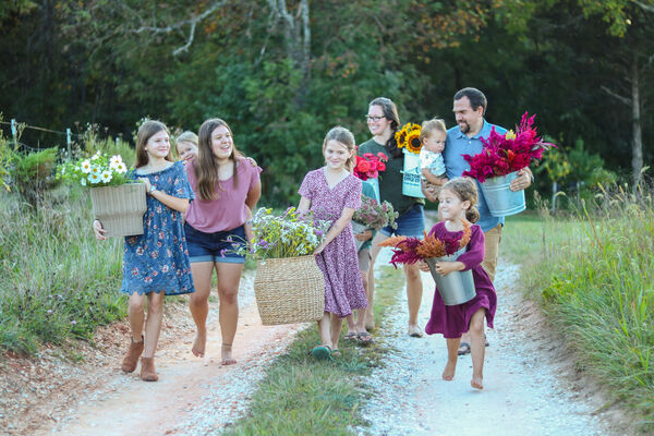 Wildway Farm & Flowers