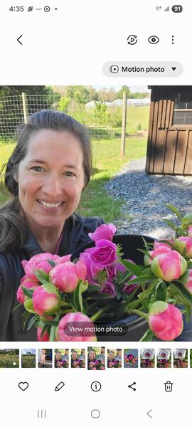 Wildway Farm & Flowers