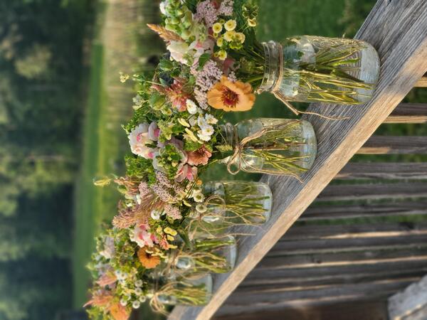Wildway Farm & Flowers
