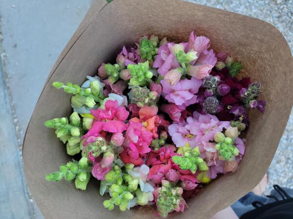 Wildway Farm & Flowers