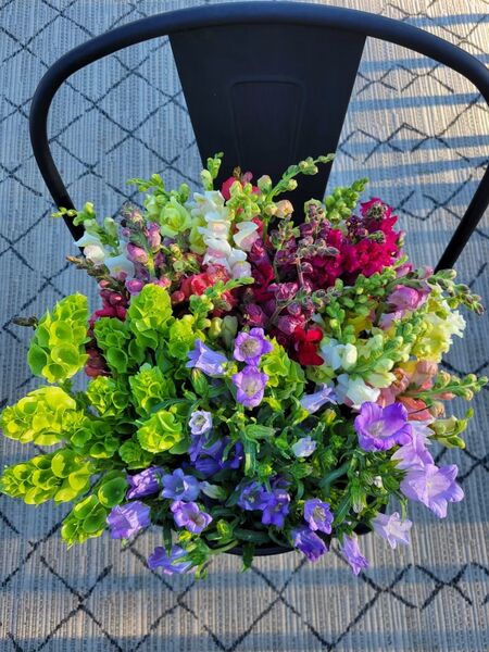Wildway Farm & Flowers