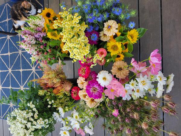 Wildway Farm & Flowers