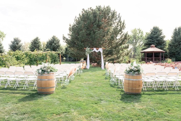 The Hillside Vineyard