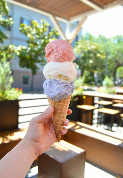 Doki Doki Ice Creamery