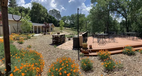 Red Tail Ranch