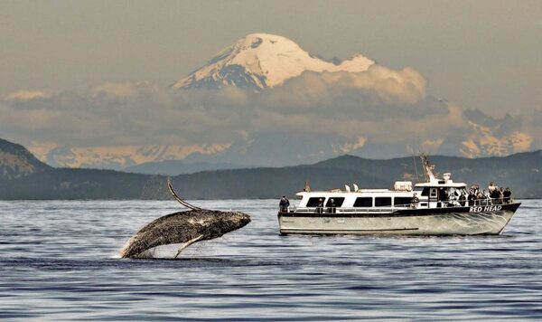 Puget Sound Express